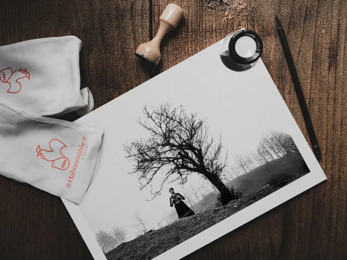 Kerasovo, Konitsa, Epirus, Greece | A Single Tree | Black-and-White Wall Art Photography - on table