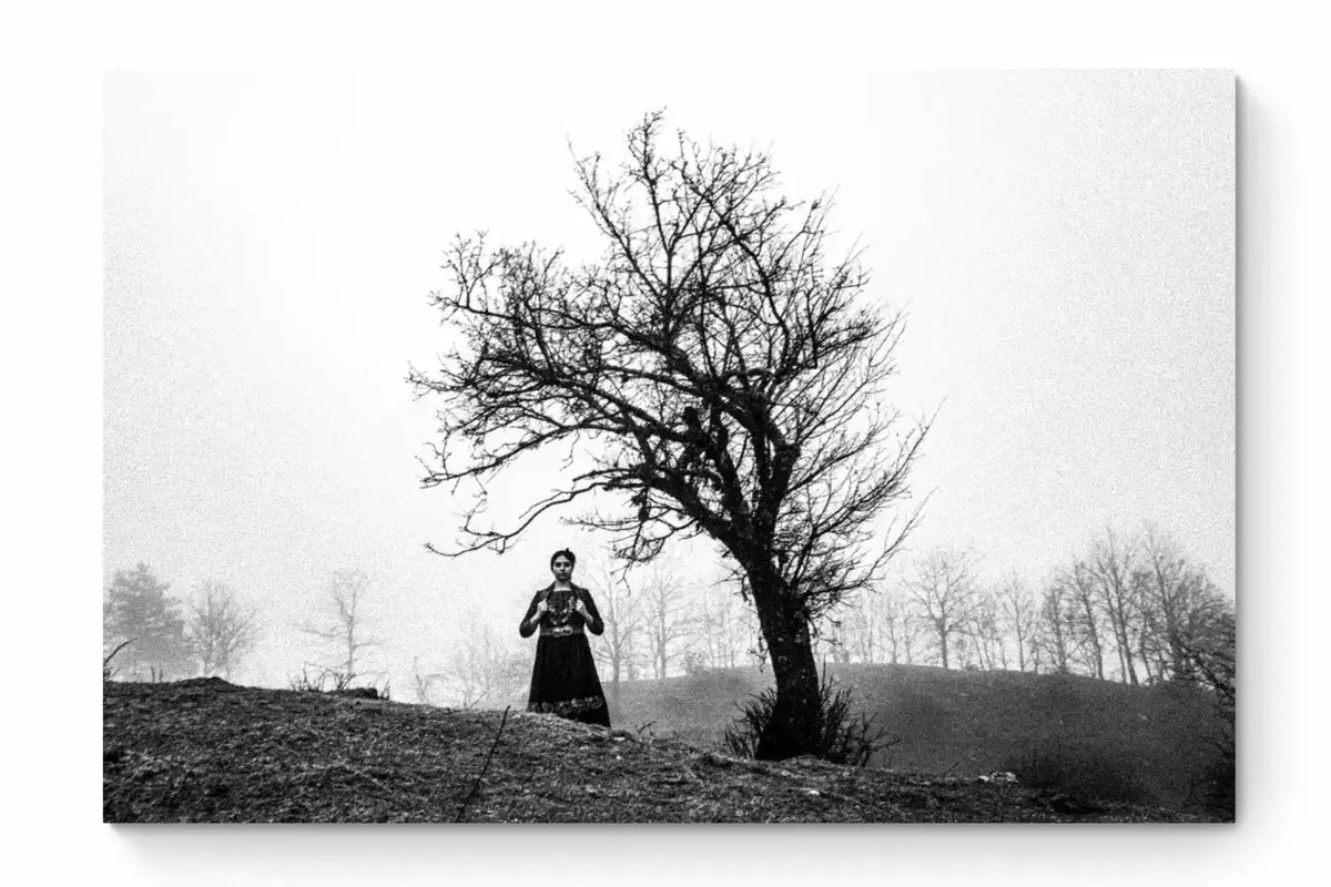 Kerasovo, Konitsa, Epirus, Greece | A Single Tree | Black-and-White Wall Art Photography - thumb