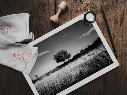 Black and White Photography Wall Art Greece | Field in Geraki village with a tree Lakonia Peloponnese by George Tatakis - photo print on table