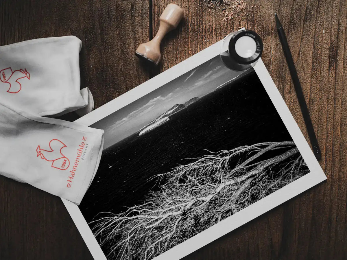 Sea Branches | Santorini | Chorōs | Black-and-white wall art photography from Greece - photo print on table